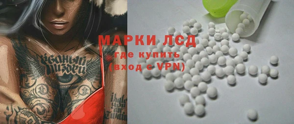 сатива Гусь-Хрустальный