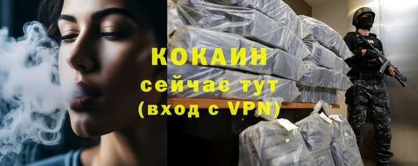 Альфа ПВП Гусев