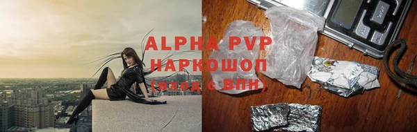 сатива Гусь-Хрустальный