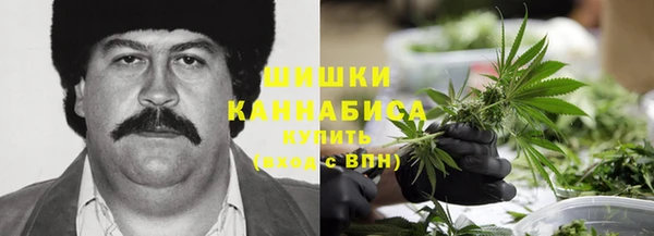 гашик Гусиноозёрск