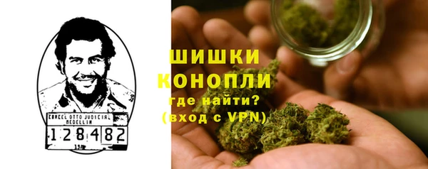сатива Гусь-Хрустальный
