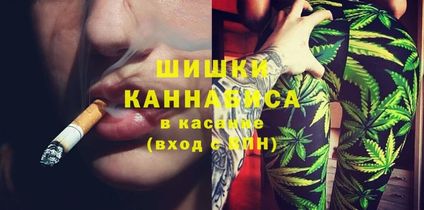 сатива Гусь-Хрустальный