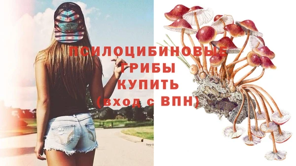 сатива Гусь-Хрустальный