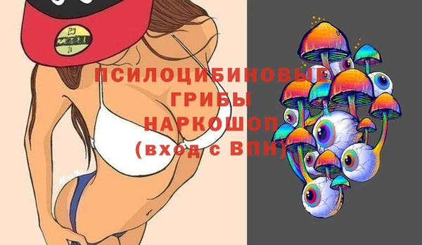 сатива Гусь-Хрустальный