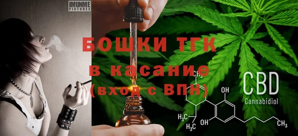 сатива Гусь-Хрустальный