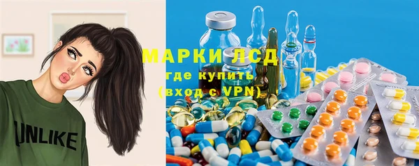 Альфа ПВП Гусев